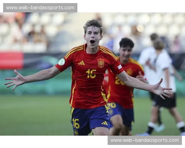 绿茵场上的宿命交响：西班牙vs荷兰录像中的巅峰与复仇